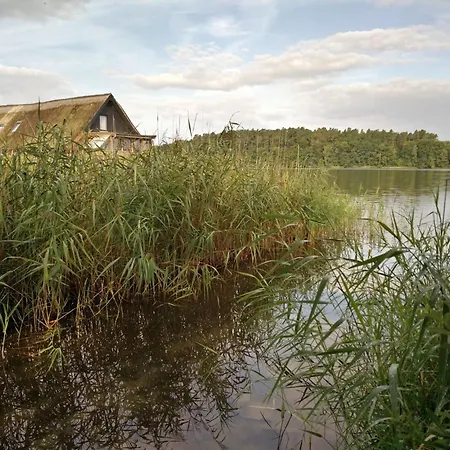 Kranich By Interhome